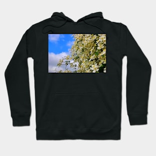 The Flower Wall Hoodie